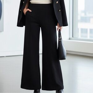 Windsor Black Pintuck Wide Leg Pants Minimalist Quiet Luxury Chic Goth M Palazzo